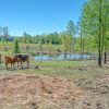 Beautiful 10 Acre Farm - Image 7