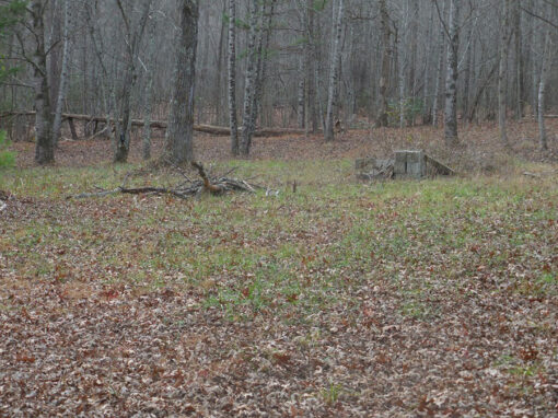 Great Homestead or Build Multiple Homes! 27.06 acres! - Image 6