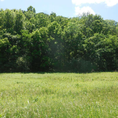 Hopkins Hollow, Gainesboro, TN 38562 10.78 Acres(Unimproved Land)