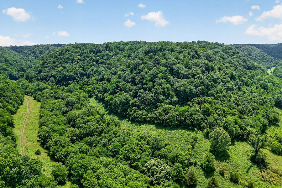 This Farm is unique, 32+ acres, Remodeled Charming Home, Barn, Road Frontage! - Image 16