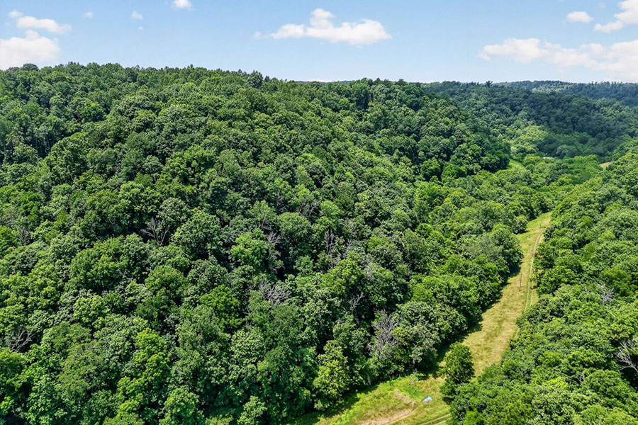 This Farm is unique, 32+ acres, Remodeled Charming Home, Barn, Road Frontage! - Image 11