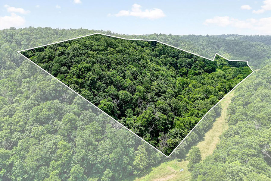 This Farm is unique, 32+ acres, Remodeled Charming Home, Barn, Road Frontage! - Image 13