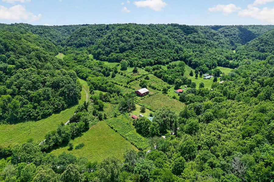 This Farm is unique, 32+ acres, Remodeled Charming Home, Barn, Road Frontage! - Image 42