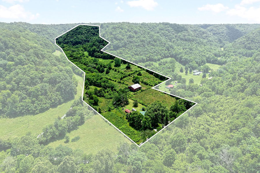 This Farm is unique, 32+ acres, Remodeled Charming Home, Barn, Road Frontage! - Image 41