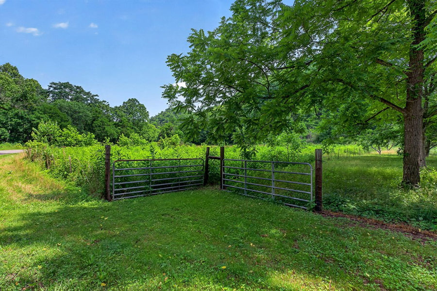 This Farm is unique, 32+ acres, Remodeled Charming Home, Barn, Road Frontage! - Image 25