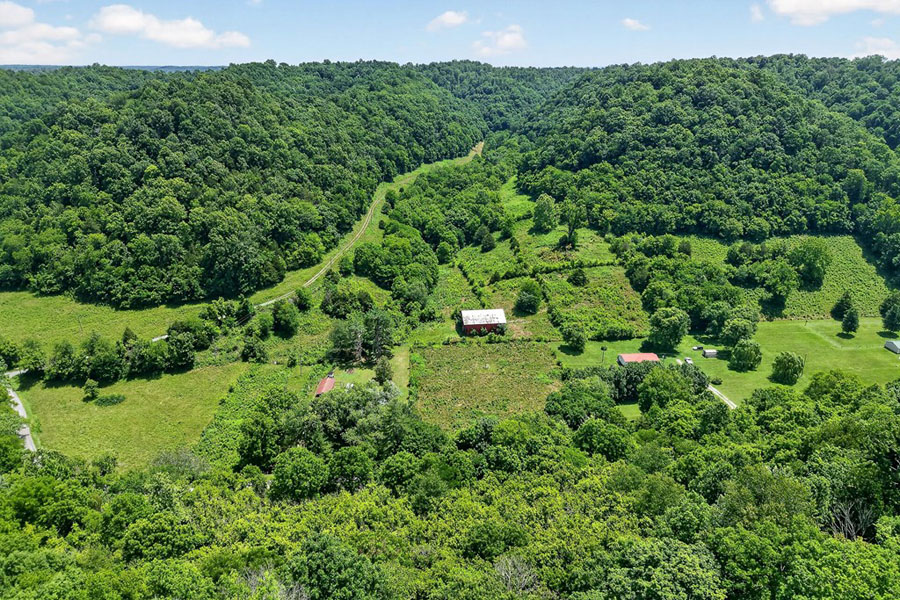 This Farm is unique, 32+ acres, Remodeled Charming Home, Barn, Road Frontage! - Image 53