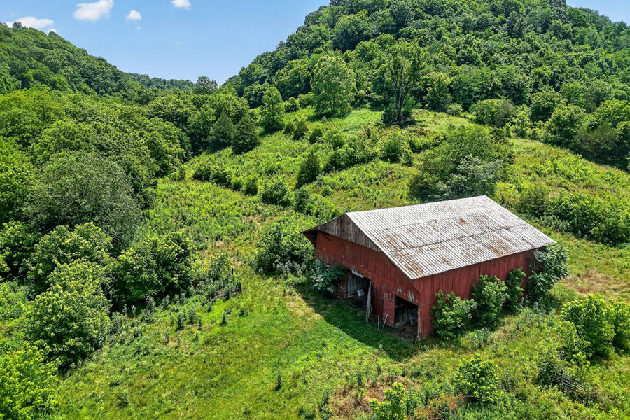 This Farm is unique, 32+ acres, Remodeled Charming Home, Barn, Road Frontage! - Image 2