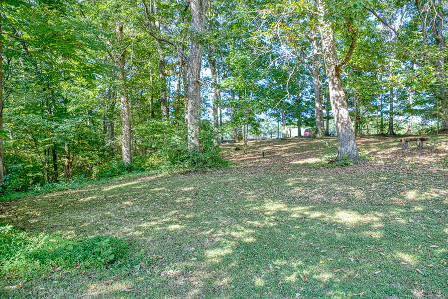 Home and Beautiful Lot! - Image 6