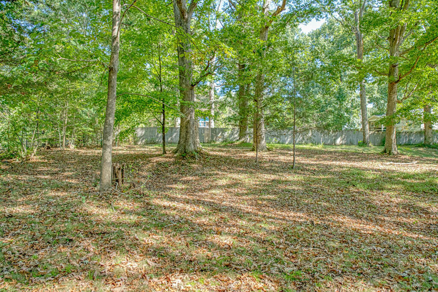 Home and Beautiful Lot! - Image 8